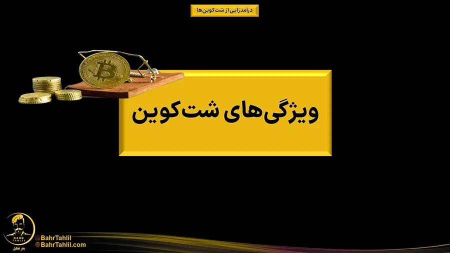 شت کوین چیست + ۳ روش درآمد زایی از طریق شت کوین 2 Shitcoin08