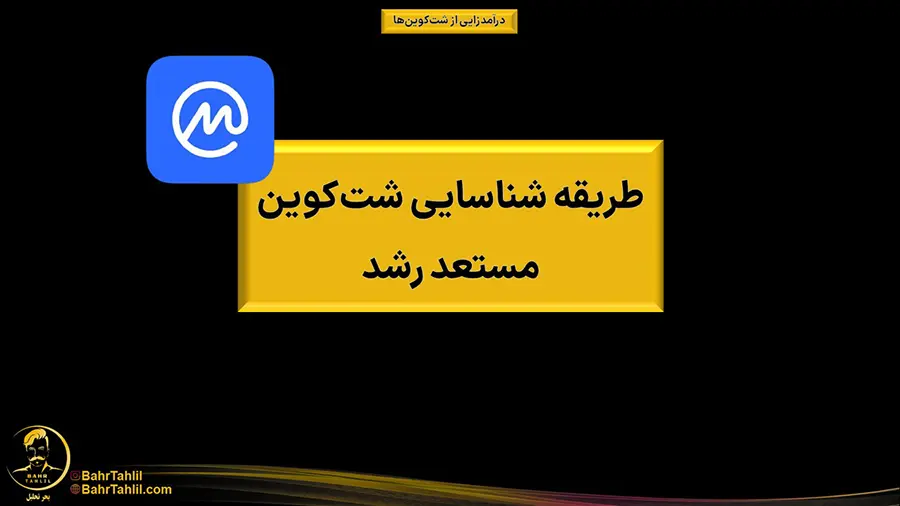 شت کوین چیست + ۳ روش درآمد زایی از طریق شت کوین 4 Shitcoin13