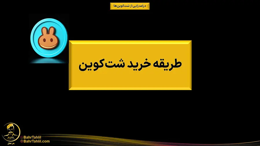 شت کوین چیست + ۳ روش درآمد زایی از طریق شت کوین 5 Shitcoin14