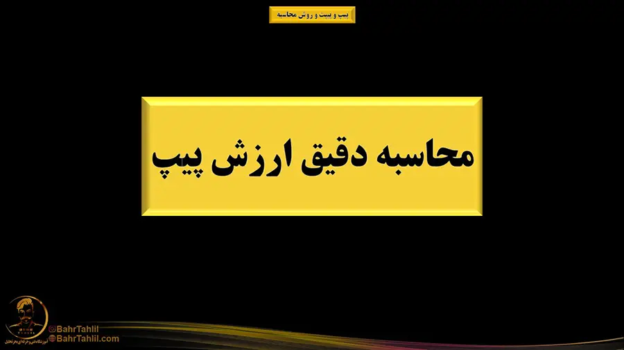 محاسبه دقیق ارزش پیپ - دکتر محمد بحرینی